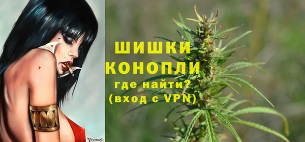 мяу мяу мука Иннополис