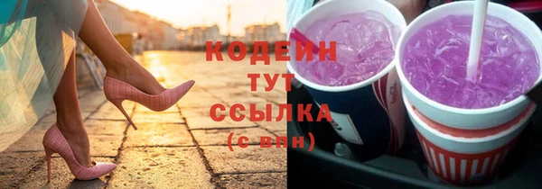 мяу мяу мука Иннополис
