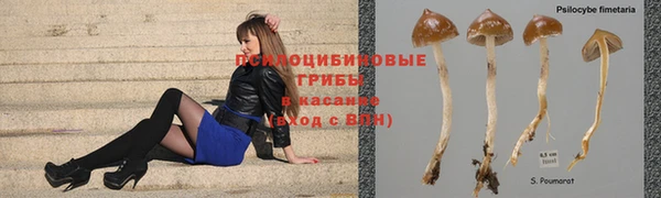 мяу мяу мука Иннополис