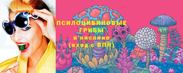 мяу мяу мука Иннополис