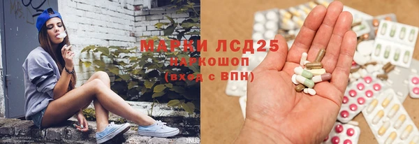 мяу мяу мука Иннополис
